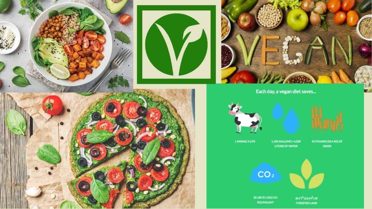 The growing trend of Veganism!! - The Tech Outlook