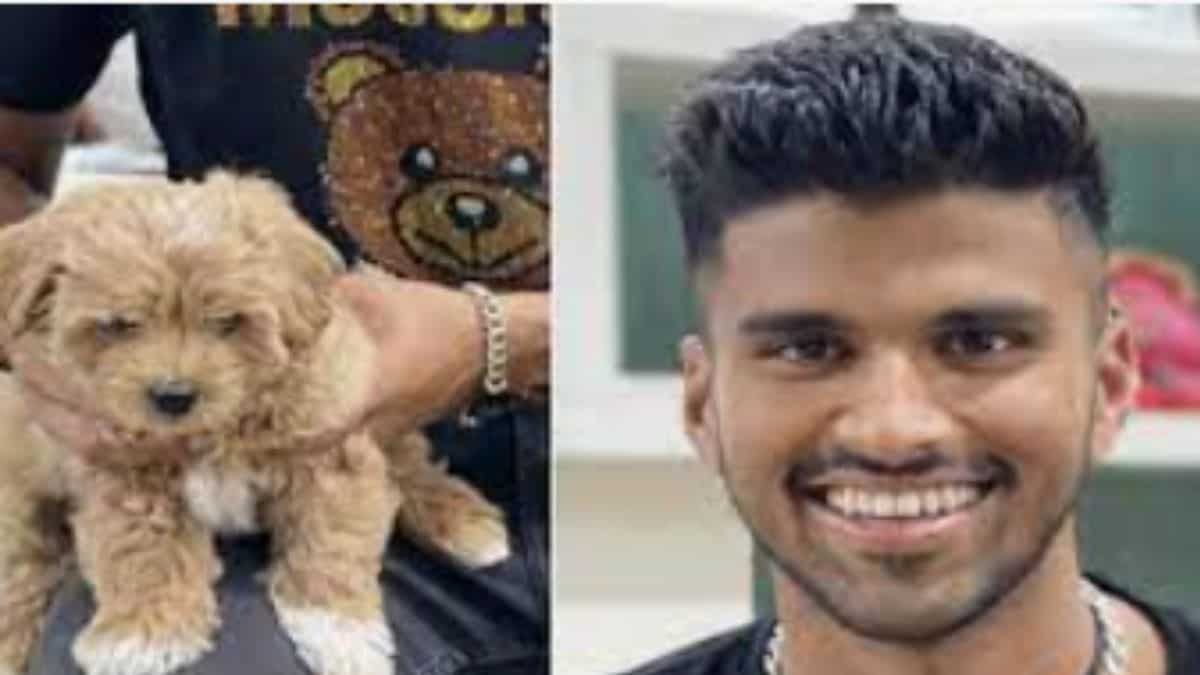 Washington Sundar's dog, Gabba turns 1 year old