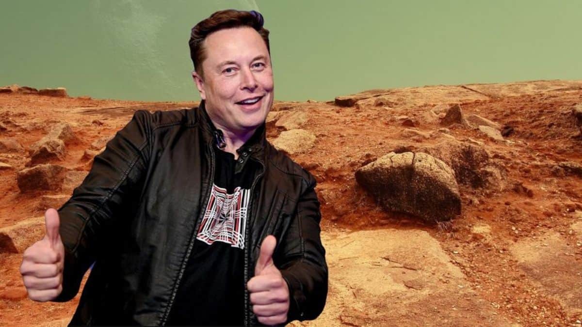 Elon Musk Is Happy With His Successful Spaceship Launch And Plans His ...