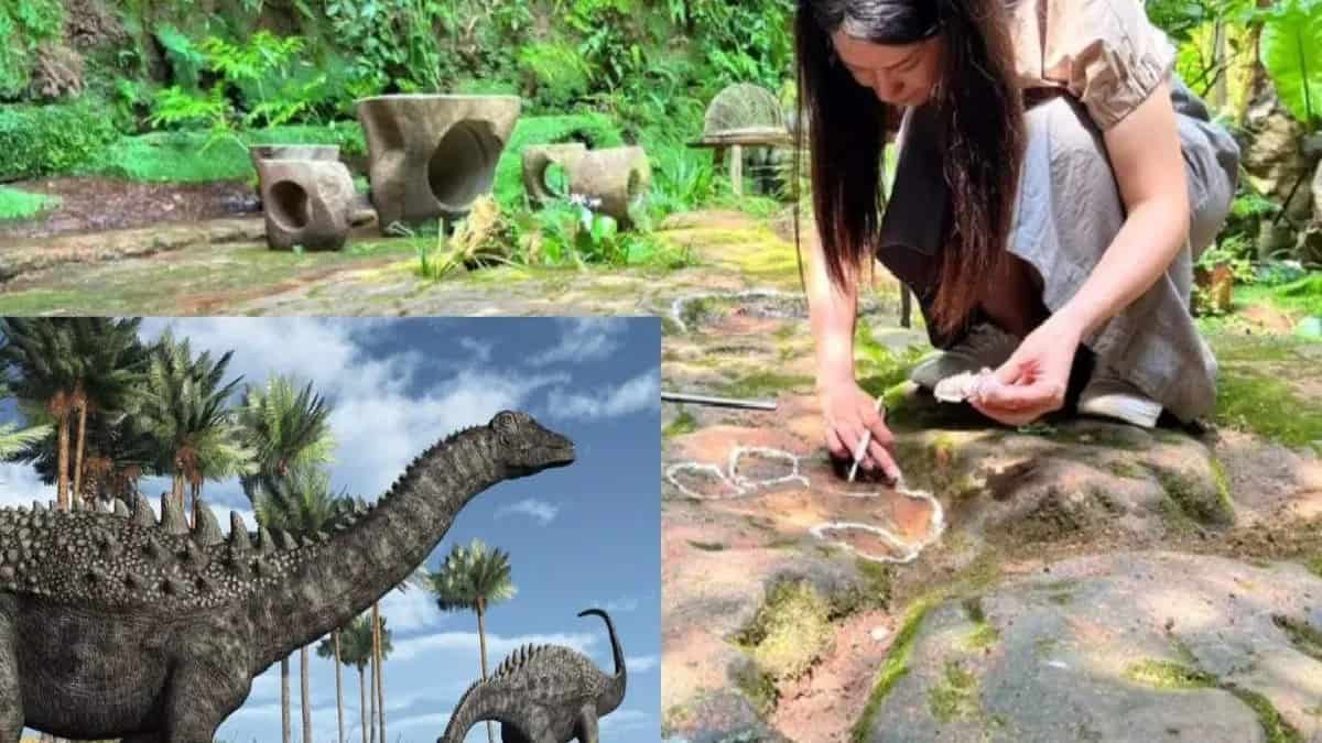 Dinosaur footprints from 100 million years ago were found in a Chinese restaurant