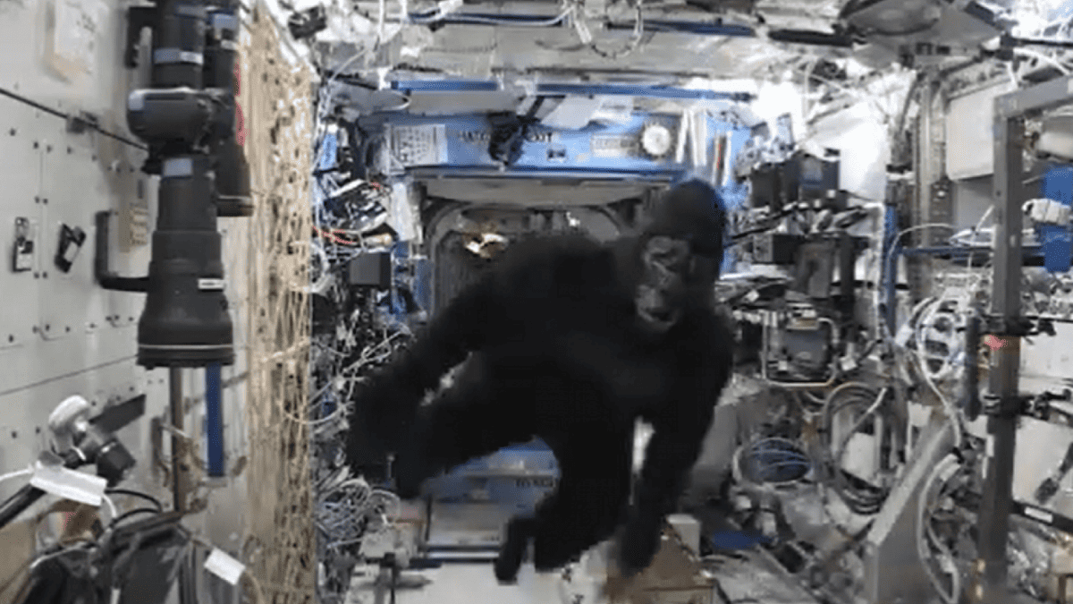 Astronaut Mark Kelly smuggled a Gorilla suit onto the International