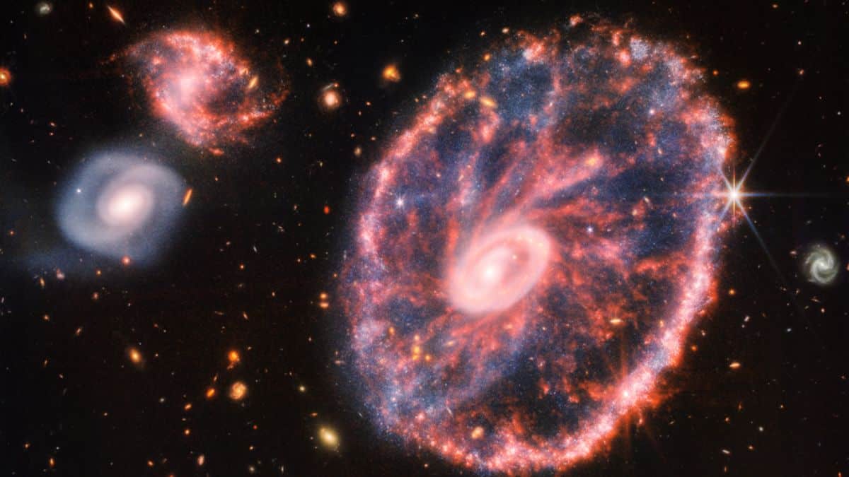 NASA's James Webb Telescope takes a snapshot of the rare Cartwheel Galaxy