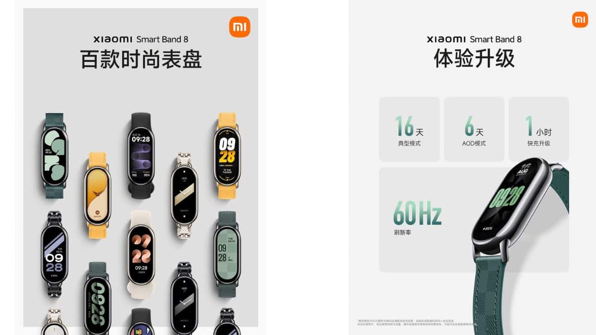 Xiaomi Smart Band 8 European Version - TechPunt