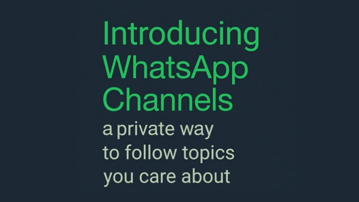 WhatsApp Channels